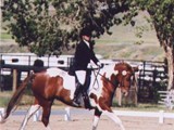 'Parfay' USDF show 2004